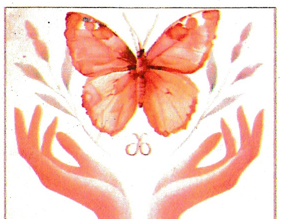 Papillon